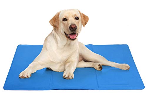 DZL Cama resfriante para Mascotas - Manta fría 50x90cm para Perro Gato Alfombrilla de refrigeración Azul(90 * 50CM)