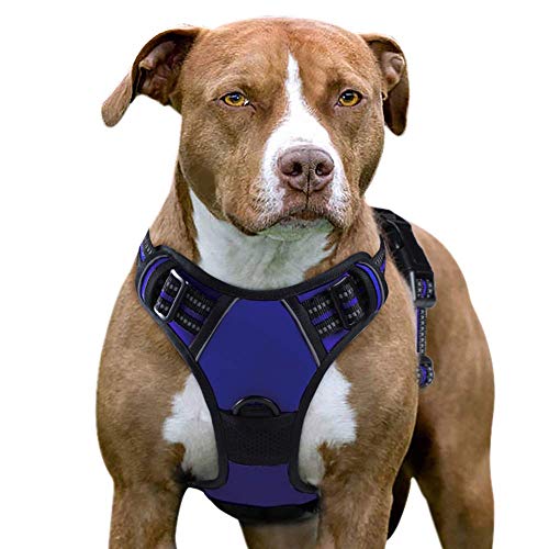 Eagloo Arnes de Perro Antitirones Cómodo Chaleco Ajustable Correa al Cuello y Pecho para Perros Grande Material Duradero Transpirable con Cinta Reflectante Adaptarse a Ejercer Externo L/Azul