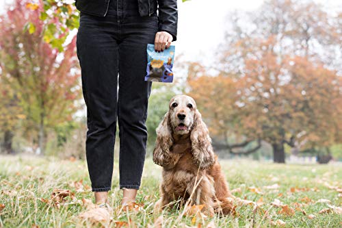 Edgard & Cooper premios para perros sin cereales, natural con Ternera. Snacks ricos en proteínas hasta 85% de carne cocinados al horno con ingredientes simples. Packs de 15x50grs Bolsas Biodegradables