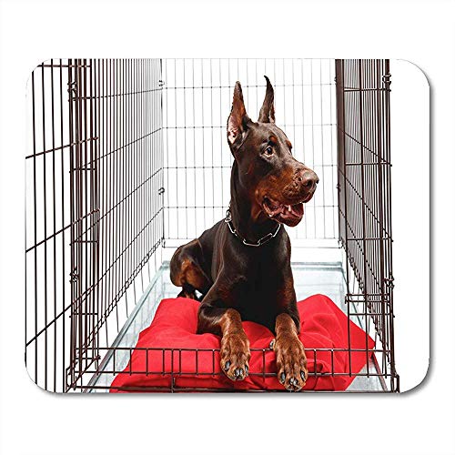 Edmun Alfombrilla para ratón Brown Dog In Cage Happy Doberman Lies Caja de Hierro Mousepad para portátiles Computadoras de Escritorio Alfombrillas para ratón Suministros de Oficina