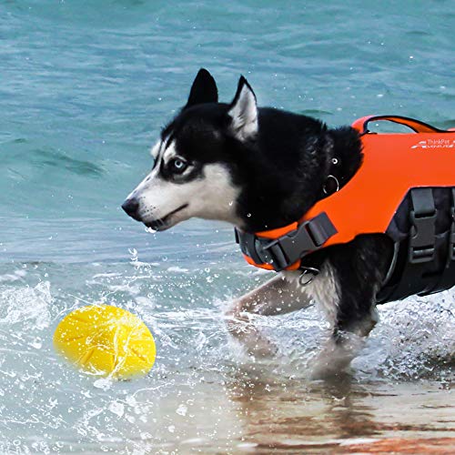 EETOYS Juguete para Perros Ruidoso, Juguete para Buscar Agua, Juguete para Perros Flotante para Nadar y Jugar Interactivo