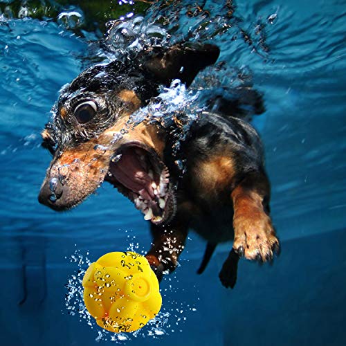 EETOYS Juguete para Perros Ruidoso, Juguete para Buscar Agua, Juguete para Perros Flotante para Nadar y Jugar Interactivo