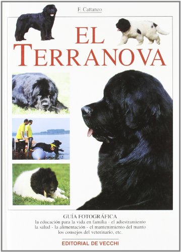 El terranova