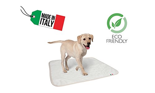 Empapador lavable muy absorbente para perros, medidas 70 x 90 cm