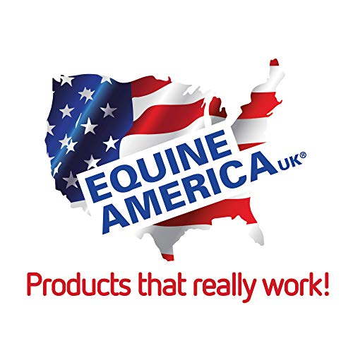 Equine America Biotin Xtra Powder | Suplemento premium listo para usar para caballos y ponis | para soporte de pezuñas | 2,5 kg