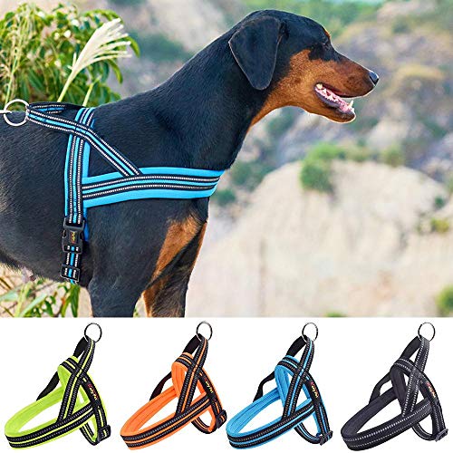 ERTY Reflective Security Pet Arneses Pesados ​​Chaleco de Nylon para Perros Grandes medianos pequeños, 4A, L