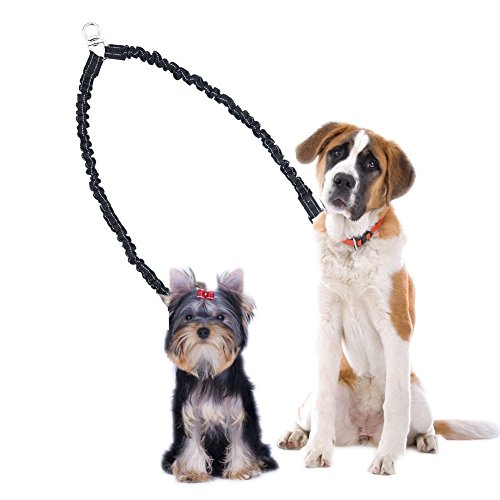 Ewolee Doble Correa para Perros, Correa Elástica y Extensible 140-165cm para 2 Perros Medianos y Grandes, Correa Acolchado con Neopreno Suave - Negro