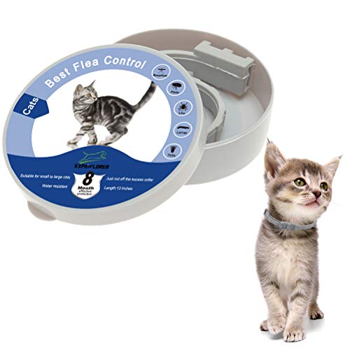 EXPAWLORER Collar Impermeable para pulgas y garrapatas para Gatos, protección de 8 Meses, el Mejor Tratamiento para Control de pulgas para Gatos y Gatitos