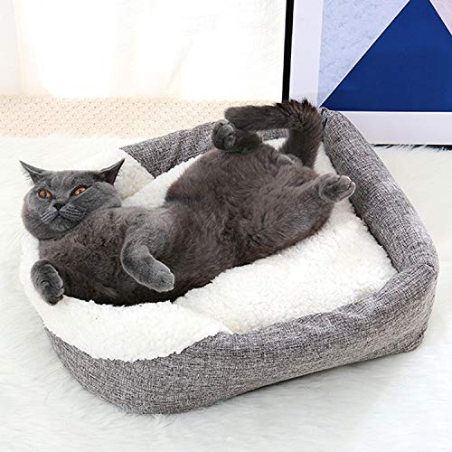 F-pump - Cama para mascotas lavable de invierno cálida para gatos, canasta de lana para gatos, con cojín para perro o gato, cojín para mascotas en suministros para gatos