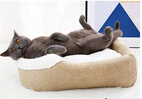 F-pump - Cama para mascotas lavable de invierno cálida para gatos, canasta de lana para gatos, con cojín para perro o gato, cojín para mascotas en suministros para gatos