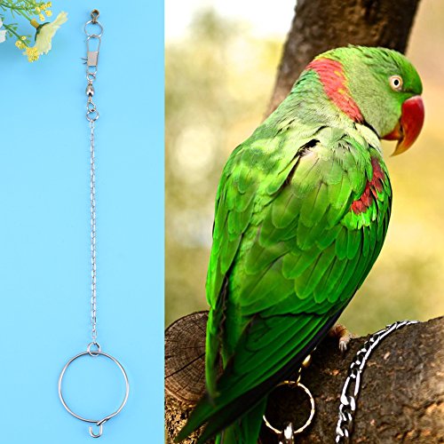 Fdit Juguete de Loro Tobillera de Pájaro de Acero Inoxidable para Loro Aves Cadena de pie + Anillo Juguetes para Aves Loro Mascotas Aves(5.5mm)