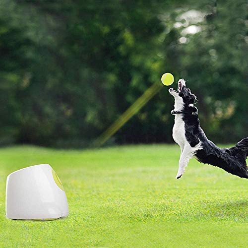 FEGER Interactiva Bola automática de Perro de Juguete Lanzador, la Pelota de Tenis Que Lanza la máquina de Entrenamiento del Perro Lanzar último Juguete, 3 Bolas Incluyó,Maxi Ball 6 Pack