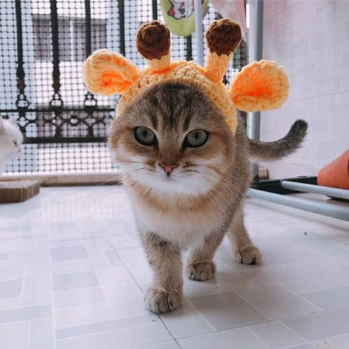 Fighrh Moda Linda Animal Lindo con Sombrero de Navidad Navidad Halloween Decoración navideña al Aire Libre Gato Lindo Perro Peluche Divertido Mascota Vestir Ciervos Gorros Amarillo (tamaño : S)