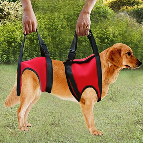 Filfeel Soporte para perros Arnés Pet Walking Ayuda Lifting Pulling Vest Sling Support Rehabilitation para perros viejos y heridos(Pata delantera - M-rojo)