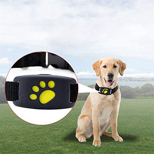 FILWS Rastreador GPS para Mascotas Collar De Gato para Perros Función De Devolución De Llamada GPS Resistente Al Agua Carga USB Rastreadores GPS para Perros Universales