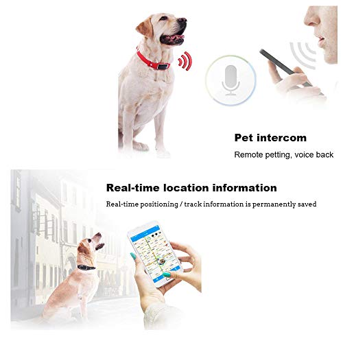 FLYM GPS para Perros, Dog Monitor de Actividad y Fitness Tracker - Ligero y Resistente al Agua, GPS para Perros Prevención de Pérdidas,Rojo