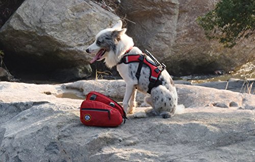 Fosinz Arnés para Perros Mochila Ajustable Bolsa para alforjas para Mascotas con Dos Bolsillos Laterales Liviano Reflectante Seguridad para Ciclismo Senderismo Deportes al Aire Libre-L