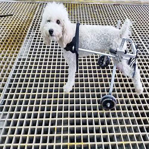 FRDF Aleación De Aluminio para Mascotas Silla De Ruedas, Dos Ruedas Silla Ajustable, Ligero Perro Cesta Piernas Traseras Rehabilitación,L