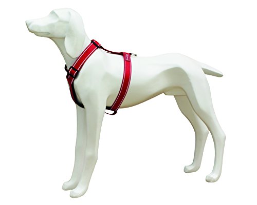 Freedog FD4002600 - Arnés Nylon Reflectante, para Perro, Color Rojo