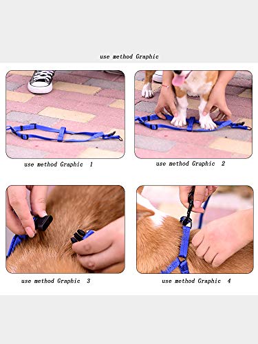 FYFY Cuerda de Remolque para Perros, tamaño del Pecho Ajustable, Adecuado para Perros pequeños y medianos S: Longitud de la Cuerda: 120cm, Ancho: 9mm Azul