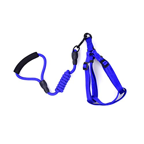 FYFY Cuerda de Remolque para Perros, tamaño del Pecho Ajustable, Adecuado para Perros pequeños y medianos S: Longitud de la Cuerda: 120cm, Ancho: 9mm Azul