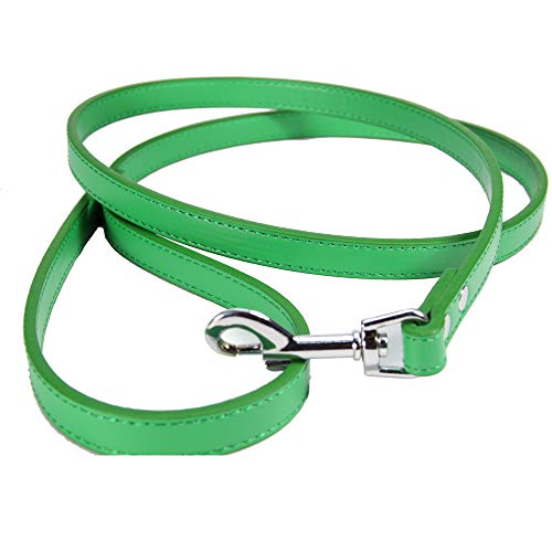 FZQ Tracción Cuerda Mascota Perro PU Material aleación Gancho Hebilla 1,5/2cm Ancho 120cm Largo Opcional fácil de Desmontar,Green,L