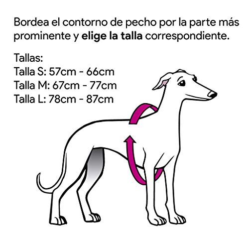 Galguita Amelie.  Peto - Licra para Galgo - Rosa Y Azul Talla S (57-66cm diámetro Pecho)