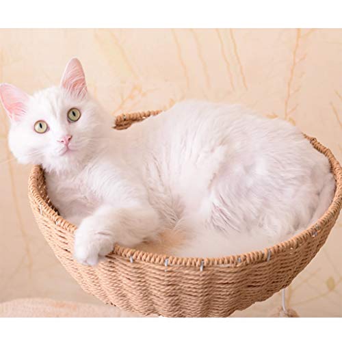 Gato Trepador, Nido De Gato Cama for Mascotas Cama De Perro Casa Suministros Casa Árbol Sisal Agarrar Tablero Bricolaje Salir Adelante por Sí Mismo