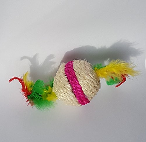 Gatos, Kitten Sonajero pelota de juguete, de sisal con plumas a ambos lados, para evitar & lanzar, captura y jugar, para gato, junto parte & frauchen/Amo con su gato, interactiva, Activo aguda.. regalo/Pequeño regalo para los dueños gato & los amantes.