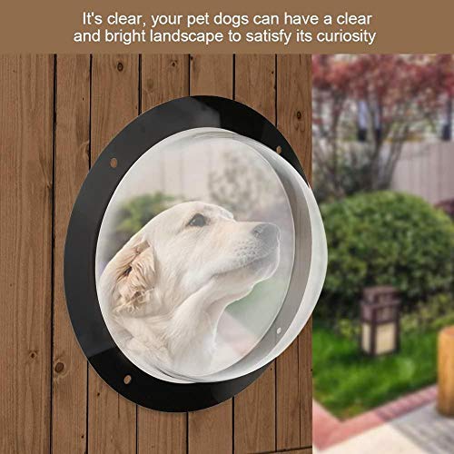 gengxinxin Ventana de Burbuja de Valla para Perros Ventana de cúpula de Perro de acrílico Duradero Ventana de pío para Valla de Perro Ventana de pío para Evitar Saltos de Perro 31.5 * 12cm