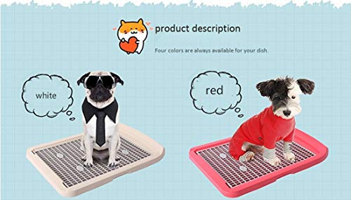 Gmjay Puppy Potty Training Interior Flat Dog Toilet Pad Grid Bandeja de Inodoro para Perros para Proteger Los Pisos Suministros de Mascotas Limpios,White,XL