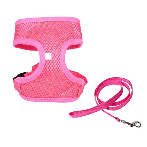 GOUSHENG collar Mascotas Perros Totalmente 2 Juego De Pequeños Arneses Para Mascotas Chaleco Correa De Malla Con Campana Segura Ajustable Para Dragones Barbudos Conejillos De Indias Hurones Conejos Ga