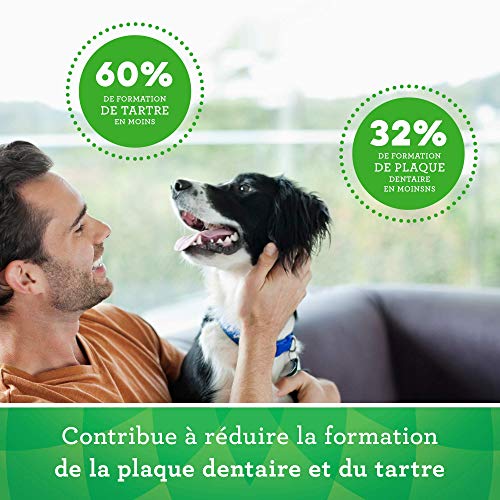 Greenies Dental Treats Grain Free Petite, Getreidefreie Zahnpflegesnacks, für Kleine Hunde Von 8-11 kg, Hundeleckerli zur täglichen Zahnreinigung, 2er Pack (2 x 170 g)