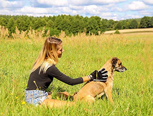 Guantes Manopla de perro de mascota Gato limpieza de baño cepillo guante Silicona True Touch para masaje suave y eficiente Grooming Groomer Eliminación de removedor de pelo Limpiar el guante (Negro)