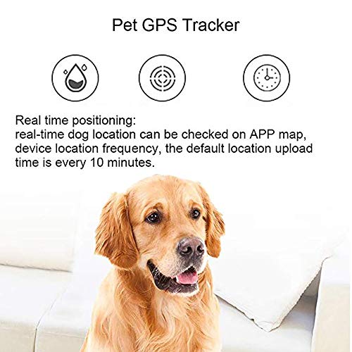 HAJZF Mini Rastreador De Mascotas GPS/gsm/GPRS, Localizador Global En Tiempo Real A Prueba De Agua En El Cuello, Monitoreo De Voz A Distancia para Perros Y Gatos,Black