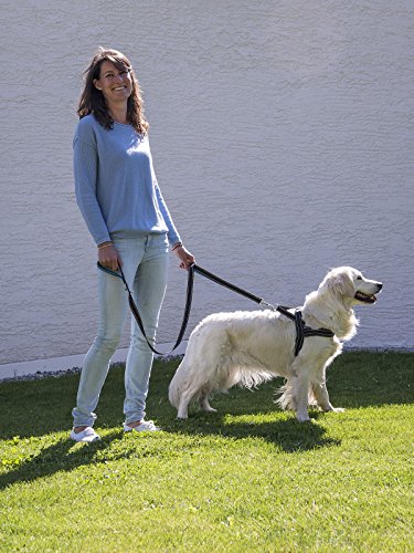 Happilax Arnés Noruego Perro pequeño y Cachorro, Reflectante, Ajustable y Acolchado