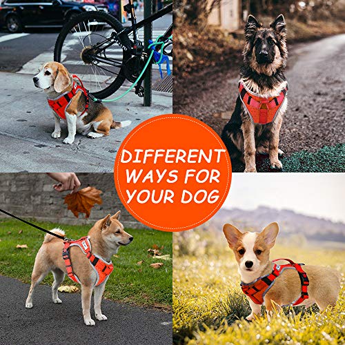 HAPPY HACHI Arnes Perro Chalecos Reflectantes Perros Pequeño Mediano Grande Ligero con Mango Nylon para Caminar Entrenamiento(L Rojo Naranja)