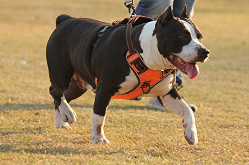 HEELE Arnés Antitirones Perro Pequeño Púrpura Chalecos Acolchados Mascotas Entrenamiento Correas Ajustables Reflectantes Malla Respirable Confortable Tamaño S Pequeño