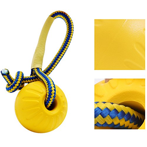 Hemore 1 Pieza de Pelota de EVA Maciza Indestructible con Cuerda para Perro, Juguete para Masticar, Juguete de Juguete para Mascota, Juguete Amarillo