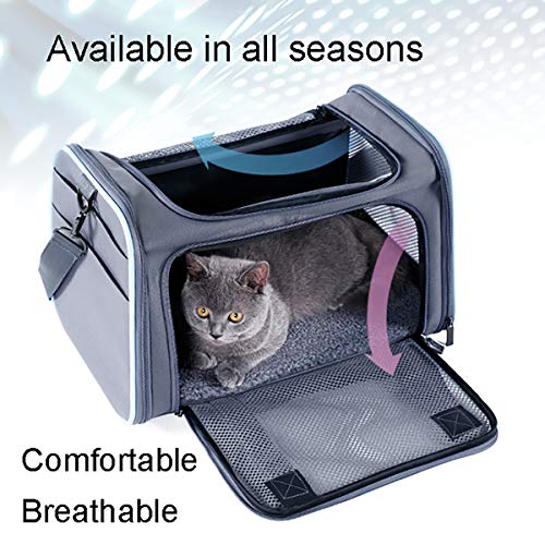 HHUMR Plegable Bolsa De Viaje Cat Multifuncional Uso Diario Mochila para Perro Suministros De Mascotas Estuche De Transporte para Cachorros Mochila Portátil Al Aire Libre,Azul,L