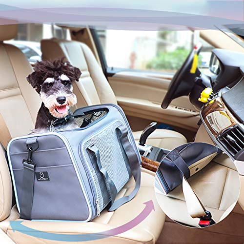 HHUMR Plegable Bolsa De Viaje Cat Multifuncional Uso Diario Mochila para Perro Suministros De Mascotas Estuche De Transporte para Cachorros Mochila Portátil Al Aire Libre,Azul,L