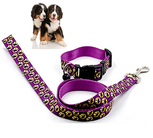 Hillento perro de mascota tracción de Halloween cuerda leash + pet collar ajustable ajustable juego de correa con campana pequeña, bruja, S