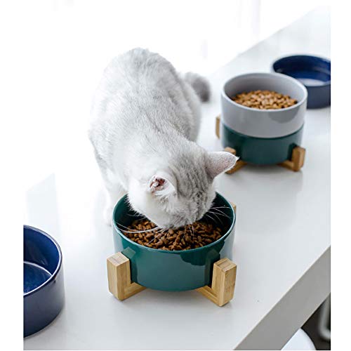 Hmpet Comederos De Gato Elevados De Cerámica con Soportes, Plato De Comida Elevada Tazón De Agua para Gatos Perros, Sin Derrame Cuencos De Alimentación para Mascotas Ecológicos 850ML,Wooden Support