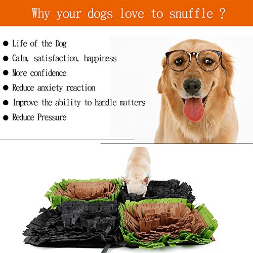 HongYH Dog Snuffle Mat - Alfombra de alimentación para Perros - Cat Training Mat - Alienta Las Habilidades de alimentación Natural para Cualquier Raza