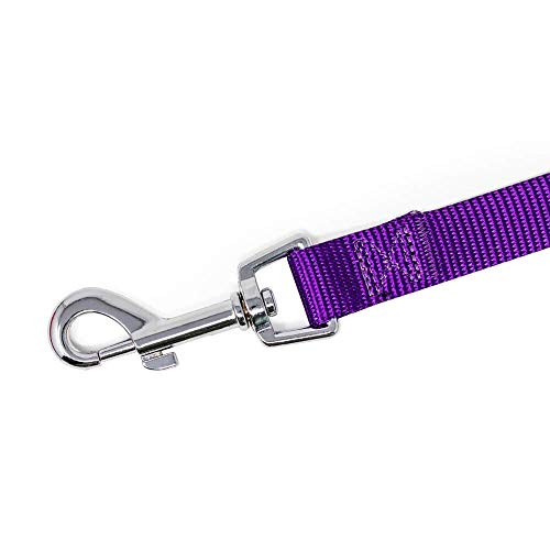 HUI JIN Juego de Correa y Collar para Perro, Nailon Resistente y Duradero, Acolchado para Cachorros de Mascota, Color Morado