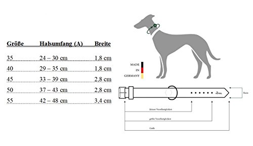 HUNTER Perros Collar Capri, de napa