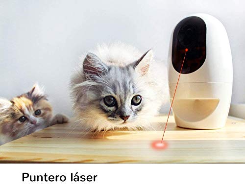 HWZQHJY Cámara Full HD WiFi Mascotas con 2-Way-Audio, dispensador Tratar con el Perro y el Gato Puntero láser