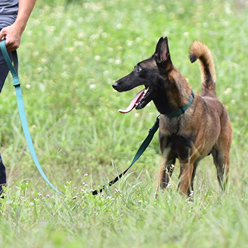 Hyhug Premium Sturdy Classic Double-Ring Collar de Perro, fácil de Colocar y Quitar Hebilla Perros Grandes y Grandes de Razas Gigantes, Entrenamiento Profesional, Uso Diario. (Grande L, Verde Oscuro)