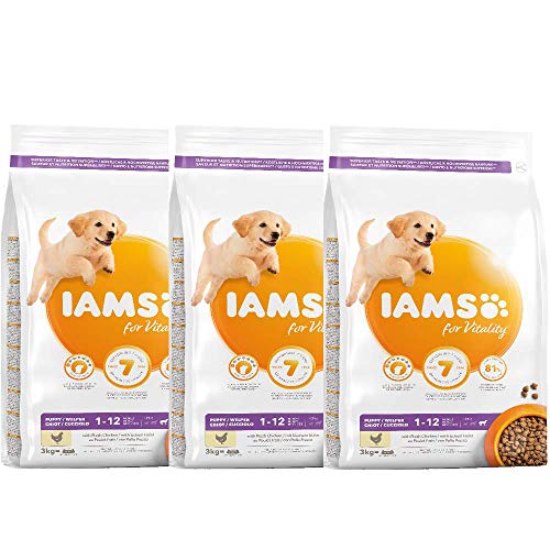 IAMS Alimentos AU Pollo para Cachorro Grande 3 kg – Pack de 3