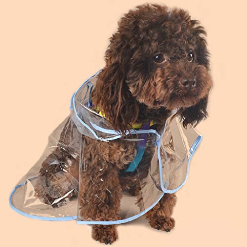 Impermeable Perro Chubasquero Transparente con Capucha Lindo Suministros para Mascotas para Lluvia Chubasqueros para Perro Pequeño Perro Ultra Estilo Ins HULKY(Azul,L)